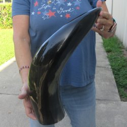 24 Inch XL Polished...