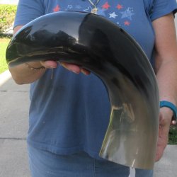 23 Inch XL Polished...