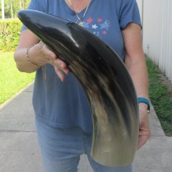 22 Inch XL Polished...