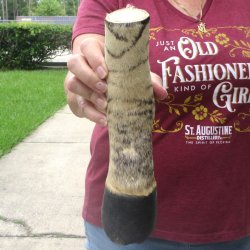 9-1/2" Zebra Foot Mount 