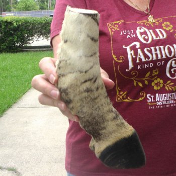 9-1/2" Zebra Foot Mount 