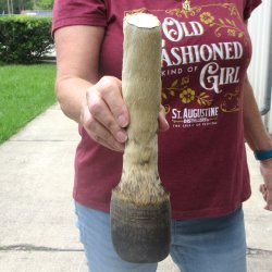 10" Zebra Foot Mount 