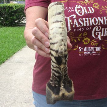 10" Zebra Foot Mount 