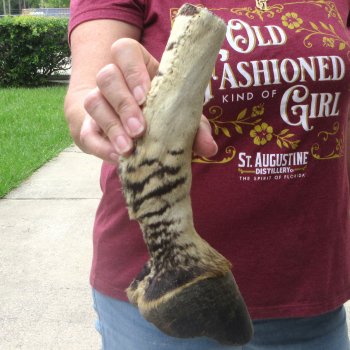 10" Zebra Foot Mount 