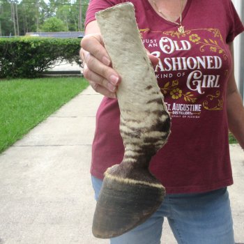 11" Zebra Foot Mount 