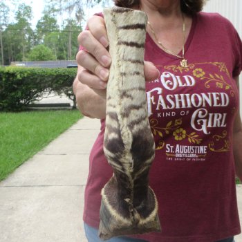 11" Zebra Foot Mount 