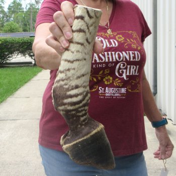 11" Zebra Foot Mount 