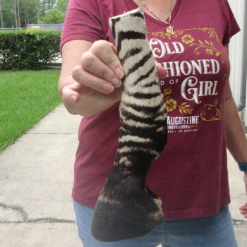 11-1/4" Zebra Foot Mount 