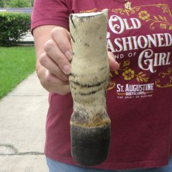 9" Zebra Foot Mount 