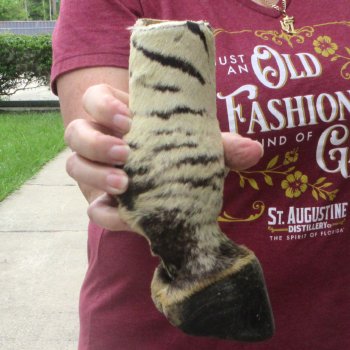 9" Zebra Foot Mount 