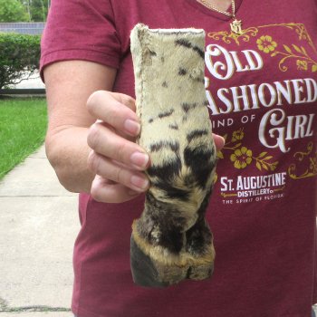 9" Zebra Foot Mount 