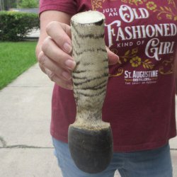 7-1/2" Zebra Foot Mount 