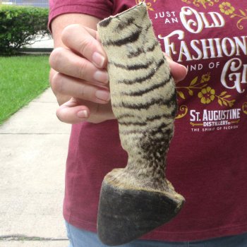7-1/2" Zebra Foot Mount 