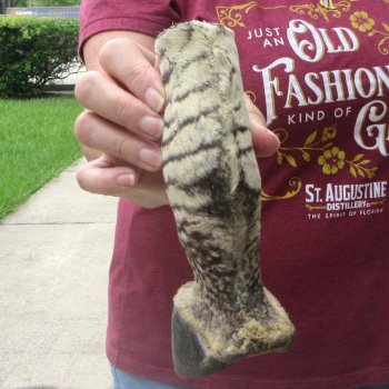 7-1/2" Zebra Foot Mount 