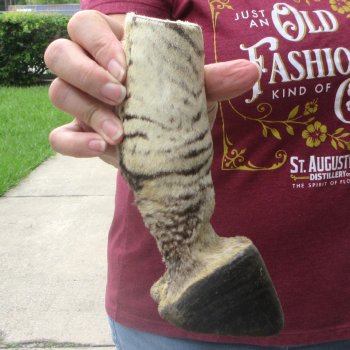 7-1/2" Zebra Foot Mount 