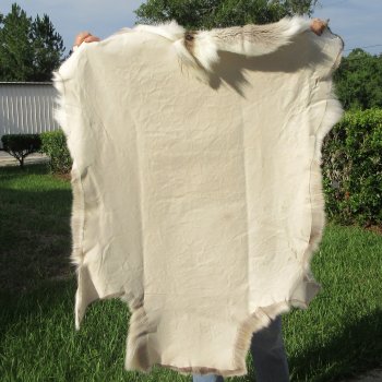 47" x 42" Finland Reindeer Hide, Skin, Farm Raised 