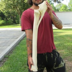 Authentic 33 inch G...