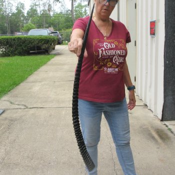 33" African Gemsbok Oryx Horns  (NO POST OFFICE (USPS) SHIPPING!!) 