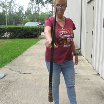38" Gemsbok Horn (NO POST OFFICE (USPS) SHIPPING!!) 