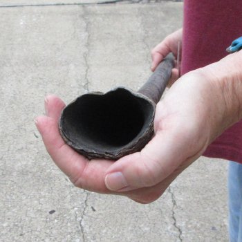 37" Gemsbok Horn (NO POST OFFICE (USPS) SHIPPING!!) 