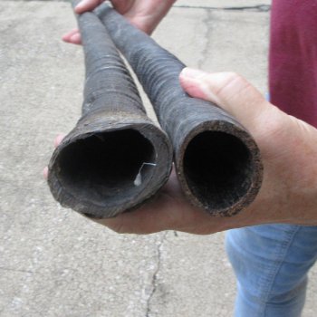 Two piece 32" B-Grade African Gemsbok Oryx Horns  (NO POST OFFICE (USPS) SHIPPING!!) 