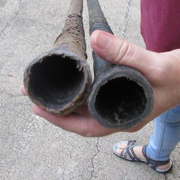 Two piece 30" & 31" B-Grade African Gemsbok Oryx Horns  (NO POST OFFICE (USPS) SHIPPING!!)