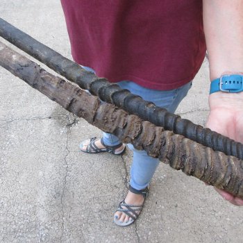 Two piece 30" & 31" B-Grade African Gemsbok Oryx Horns  (NO POST OFFICE (USPS) SHIPPING!!)