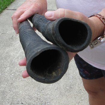 Two piece 24" Gemsbok, Oryx Horns  (NO POST OFFICE (USPS) SHIPPING!!)