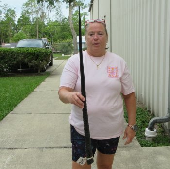 35" Polished Gemsbok Horn (NO POST OFFICE (USPS) SHIPPING!!) 