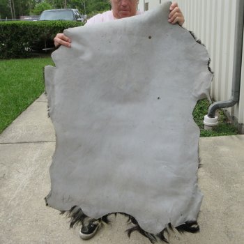 46" x 30" Goat Hide 