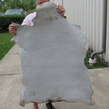 45" x 32" Goat Hide 