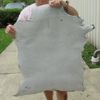 35" x 28" Goat Hide 