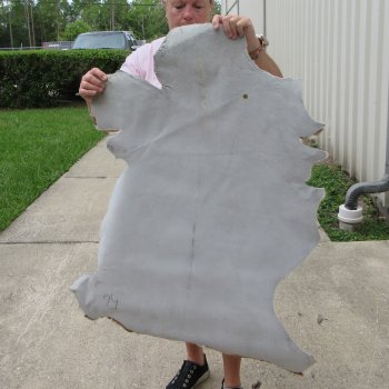 38" x 30" Goat Hide 