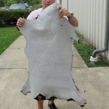41" x 30" Goat Hide 