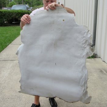 38" x 32" Goat Hide 
