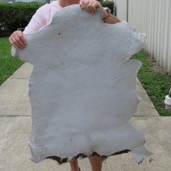 36" x 29" Goat Hide 