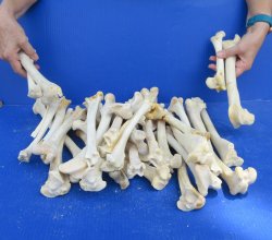 Thirty piece Deer L...