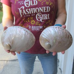 Two Pearlized Austr...