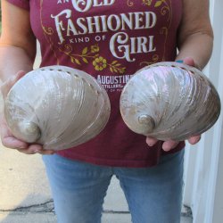 Two Pearlized Austr...