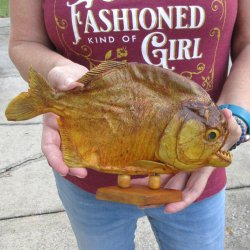 10" Dried Piranha Fish 