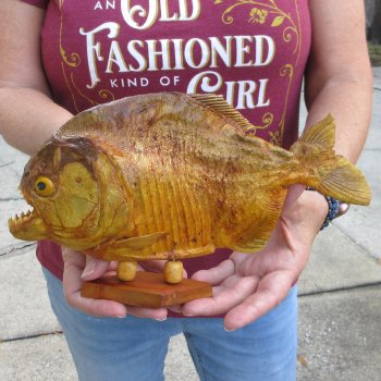 10" Dried Piranha Fish 