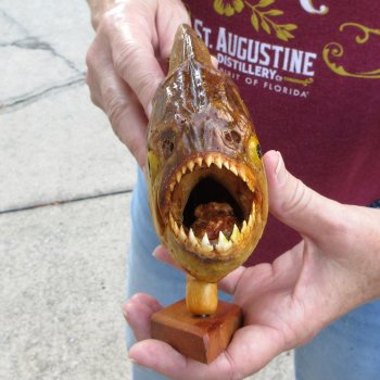 10" Dried Piranha Fish 