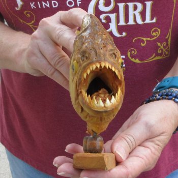 10" Dried Piranha Fish 