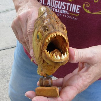 10" Dried Piranha Fish 
