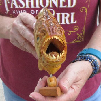 10" Dried Piranha Fish 