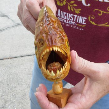 10" Dried Piranha Fish 