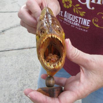 10" Dried Piranha Fish 