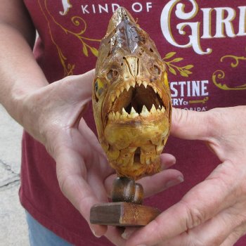 10" Dried Piranha Fish 