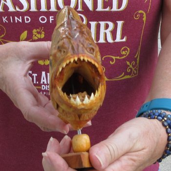 10" Dried Piranha Fish 
