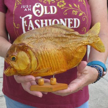 10" Dried Piranha Fish 